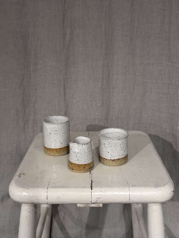 MJÖLKSNIPA