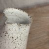 MJÖLKSNIPA