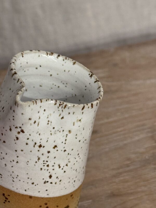 MJÖLKSNIPA