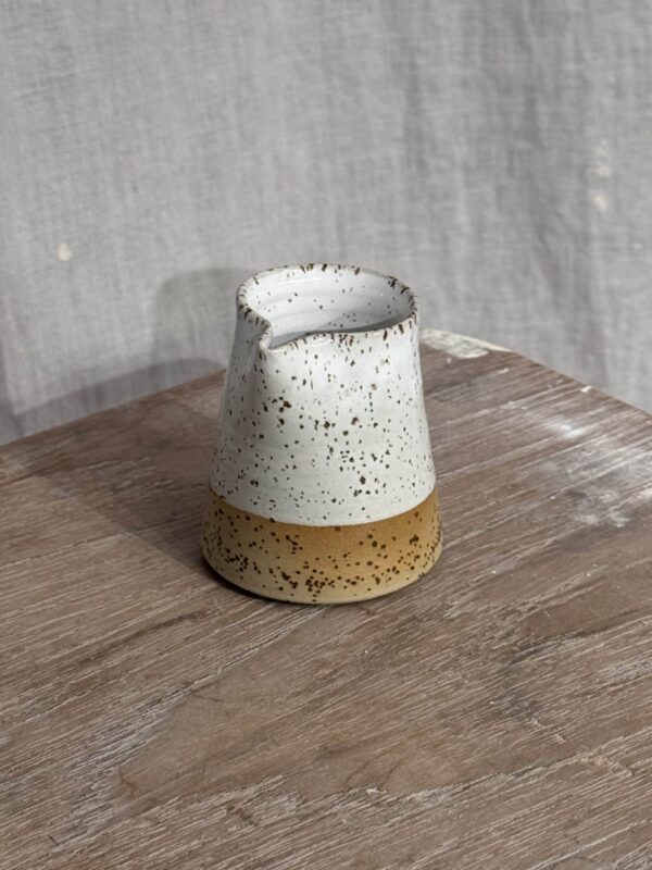 MJÖLKSNIPA